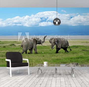 Picture of Amboseli National Park